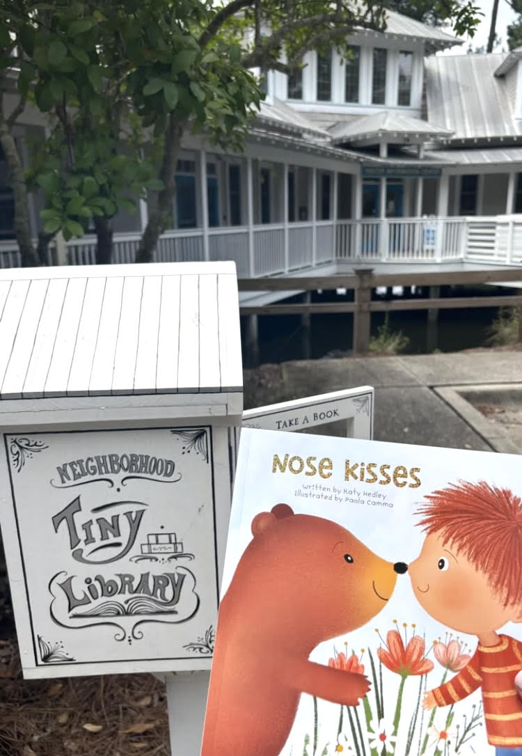 Screenshot Tiny Libraries